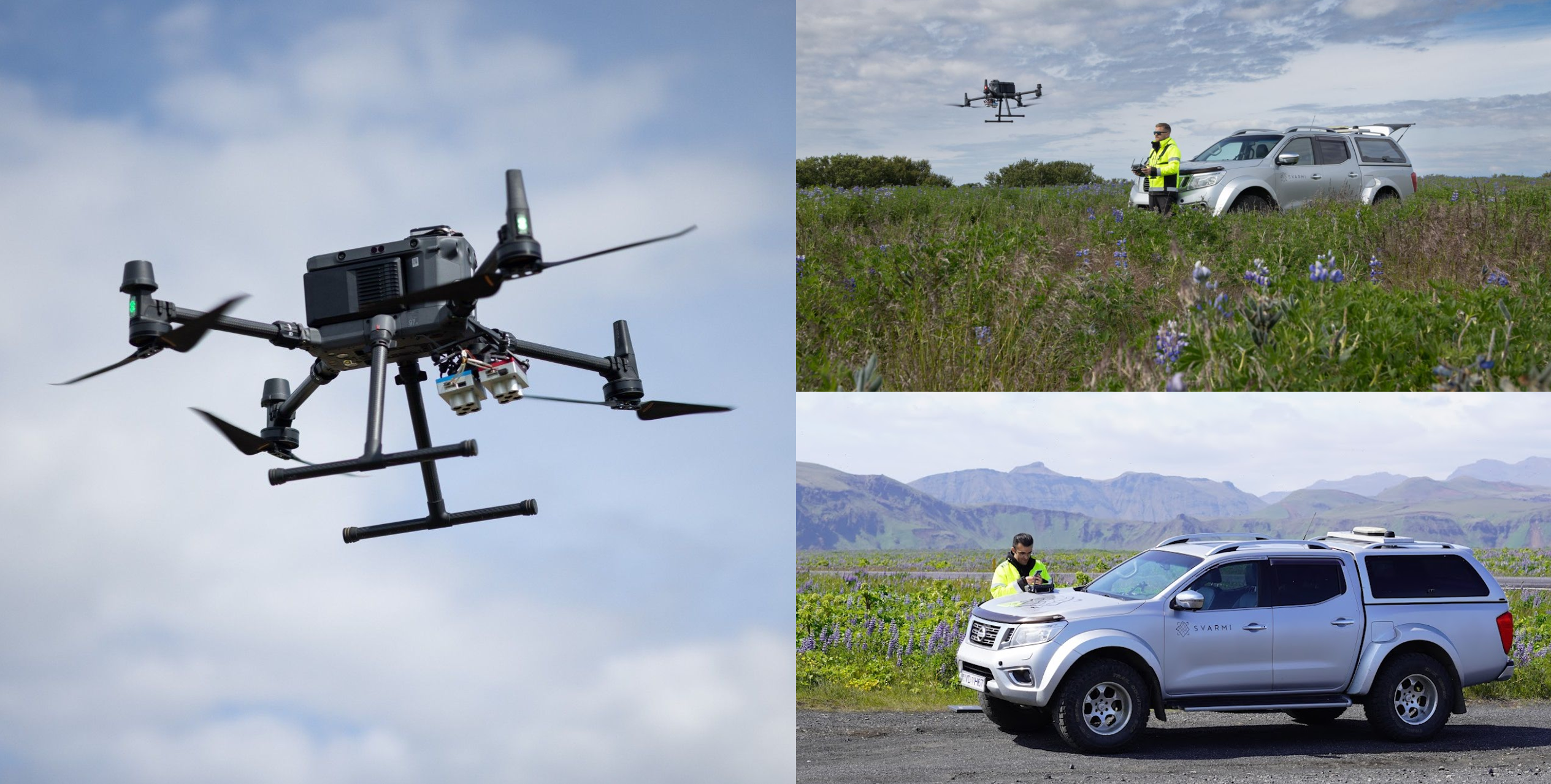 Svarmi team lupine data collection 2025